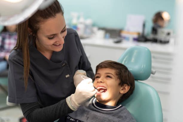 Best Emergency Dentist for Knocked-Out Tooth in Holly, MI